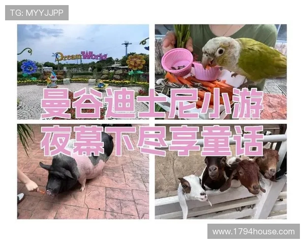 尽享9游俱乐部官网带来的多样化娱乐体验与优惠活动 尽享9游俱乐部官网带来的多样化娱乐体验与优惠活动